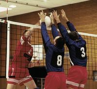 Huck Volleyball-Turniernetz DVV