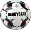 DERBYSTAR Spielball Brillant APS