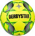 DERBYSTAR Basic Pro TT Futsal
