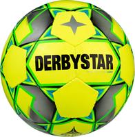 DERBYSTAR Basic Pro light Futsal  v20