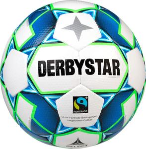 031144-21_1153500164-Derbystar_gamma_tt_weiss_blau_gruen.jpg