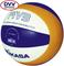 051009_1610_BeachChamp-VLS-300r_10.jpg