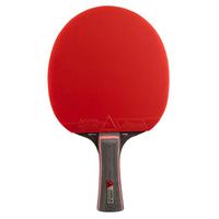 JOOLA TT-Schläger Match Pro