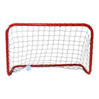 Minihockey-Tor