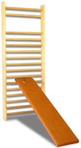 151005_Einzelfeldsprossenwand_mit_Schrägbrett.jpg