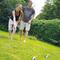 220085_106066_Boule_6er_Set_5.jpg