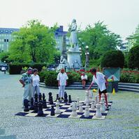 Großes Schach-Spielfeld für draußen, 280 cm x 280 cm
