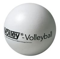VOLLEY® Volleyball